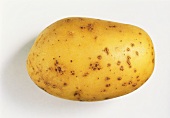 A Primura potato