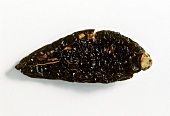 Dried chilli, variety: Chipotle