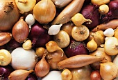 Various varieties of onions (filling the picture)