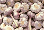 Several Garlic Bulbs