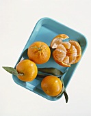 Three whole mandarins and one peeled one on small tray