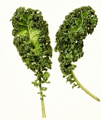 Two kale leaves