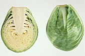 Halved white cabbage