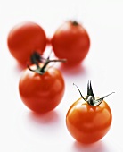 Rote Tomate im Focus vor drei roten Tomaten