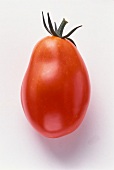 A Single Plum Tomato