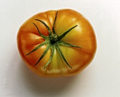 One Whole Beefsteak Tomato from Overhead