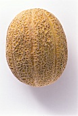 A Single Cantaloupe Melon