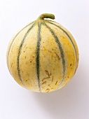 Eine Charentais-Melone