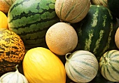 Various melons (filling the picture)