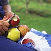 Person peeling apples in meadow