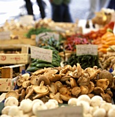 Mushrooms and vegetables at a market