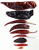 Neun verschiedene getrocknete Chilischoten