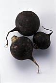 Three black radishes
