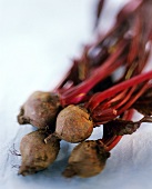 Four beetroots with leaves on light background