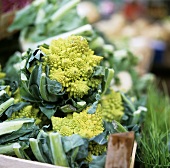 Romanesco broccoli at the market