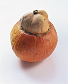Turk's turban pumpkin