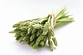A bundle of green asparagus (wild asparagus)