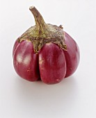 An Italian aubergine