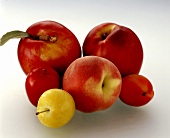 Nectarines, peach, apricot, yellow and red mirabelle