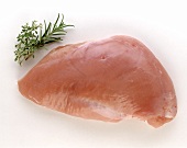 Turkey breast with two sprigs of herbs beside it