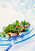 Corn salad with watercress, avocado and shrimps