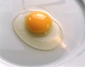 Ein frisches Ei hat kugelförmiges Dotter und festeres Eiweiss