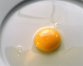 2-3 week-old egg: watery white and flat yolk