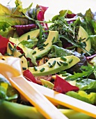 Gardener's salad with avocado