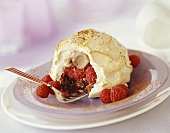 Meringue igloo (chocolate icecream, raspberries, meringue)