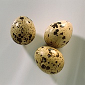 Quail's Eggs