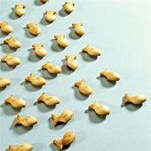 Nibbles; baked Fischlis on turquoise background