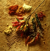 Various spices and chili peppers