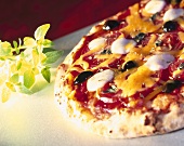 Pizza with tomatoes, peppers, olives and cheese