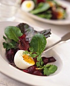 Green salad with beetroot and softish boiled egg