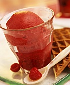 Raspberry sorbet in water glass