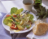 Mediterranean peasant's salad