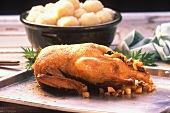 Stuffed duck on baking sheet, with potato dumplings behind