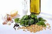 Ingredients for pesto: basil, pine nuts, garlic, olive oil