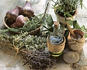 Frische Kräuter der Provence, Knoblauch, Olivenöl & Salz