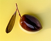 Eine braune Olive mit Zweig in Olivenöl