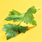 A sprig of parsley