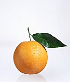 An orange with leaf