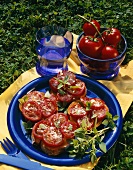 Marinated tomatoes on bread for a picnic