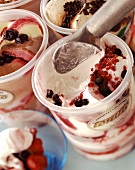 Various types of ice cream in wrappers