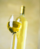 Ein Glas Weißwein vor einer Weissweinflasche