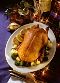 Roasted Goose for Christmas Dinner