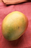 A mango on red background