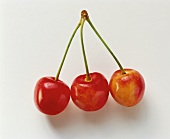 Three yellow-red cherries