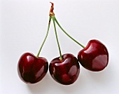 Three German heart cherries