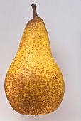 A long yellow pear